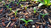 soil benefits of mulch