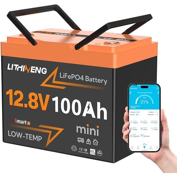 12V 100Ah LiFePO4 Battery with Bluetooth