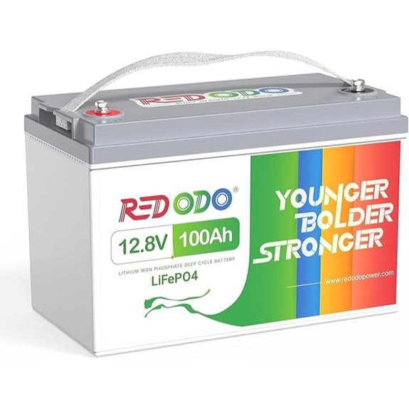 Redodo 12V 100Ah LiFePO4 Battery with BMS