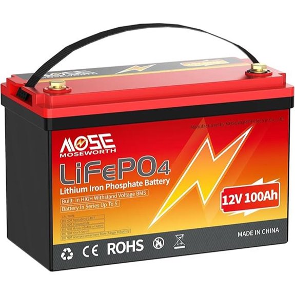 12V 100Ah Lithium Iron Phosphate Battery with BMS