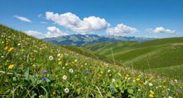 4k resolution misconceptions