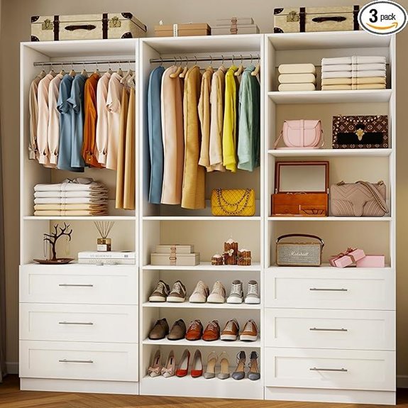 Modular Closet System with Drawers and Shelves