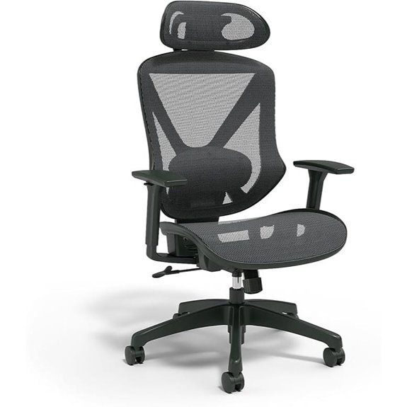 Dexley Ergonomic Mesh Office Chair with Adjustable Headrest