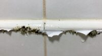 bathroom caulk mold reappearance