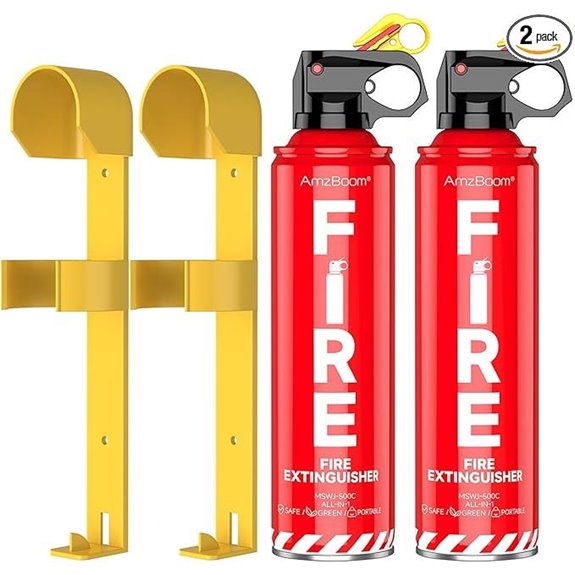 2-Pack Fire Extinguisher Kit for Home and Car