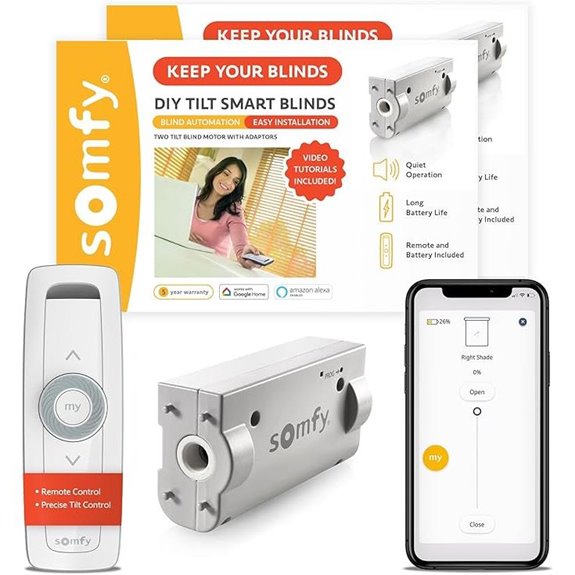 Somfy Clever Tilt Blind Motor Kit 2 Pack