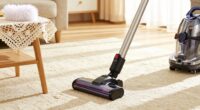 dust before vacuuming