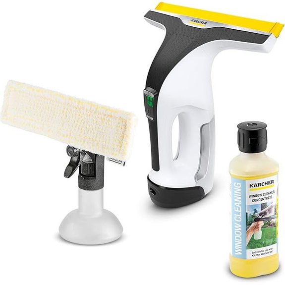 Kärcher WV 6 Electric Window Vacuum Squeegee