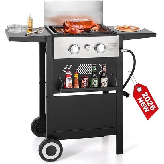 GREEN PARTY 2 Burner Propane Grill with Cast Iron Plate