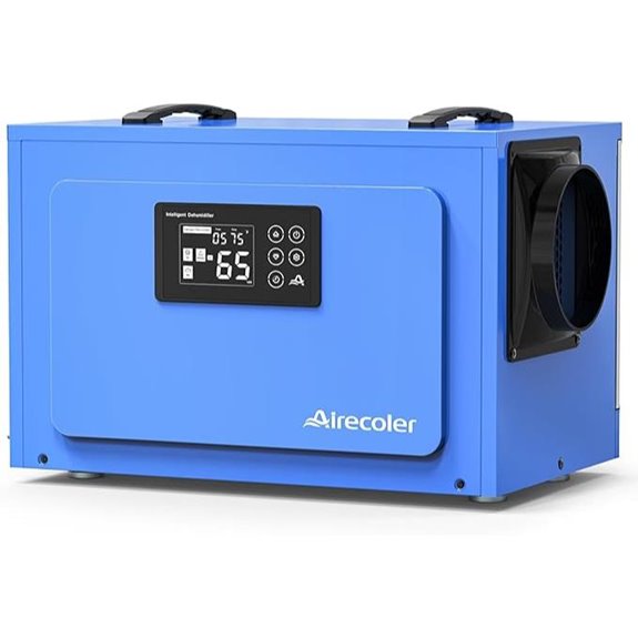 Commercial Dehumidifier for Crawl Spaces & Basements