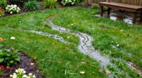 interpreting rainwater flow