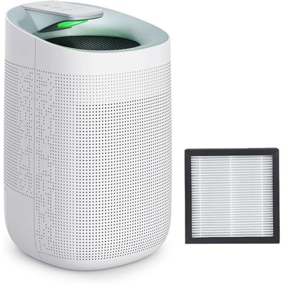 1000ml WiFi Dehumidifier with HEPA Filter