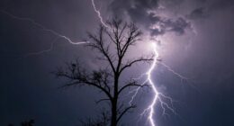 limitations of protection devices