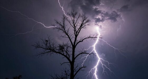 limitations of protection devices