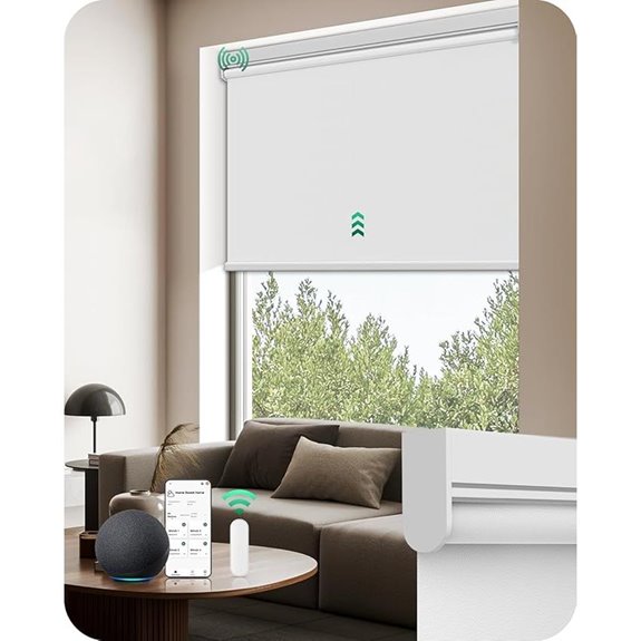 Allesin Motorized Window Roller Blinds with Remote