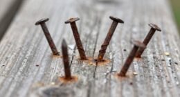 nails gradually loosen and fall