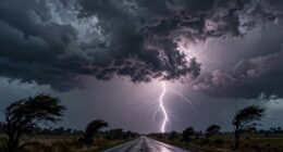 neglected severe weather warnings