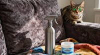 persistent pet odor issues