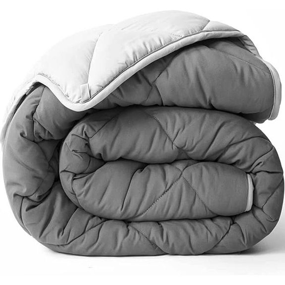 ViscoSoft Queen All-Season Microfiber Comforter