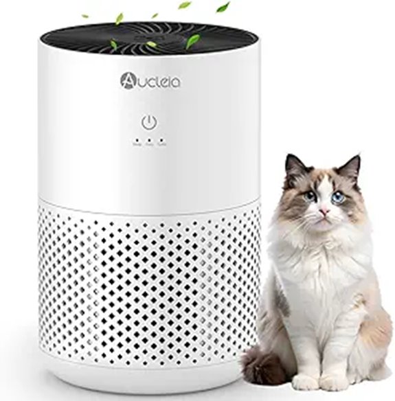 Bedroom Air Purifier for Small Rooms with Aromatherapy