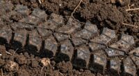 soil compaction issue persists