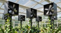top greenhouse ventilation options