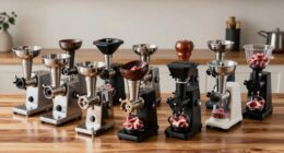 top meat grinder picks