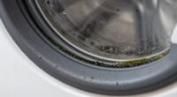 washers biofilm causes odors