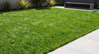 choosing the right yard surface