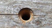 crucial pilot hole detail