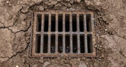drainage predicts muddy areas