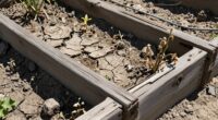 elevated beds lose moisture
