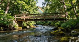 essential for system resilience