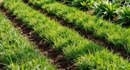 importance of slope angle