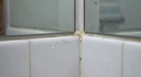 poor ventilation delays drying