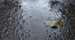 rain timing and distribution