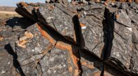 risk assessment and management