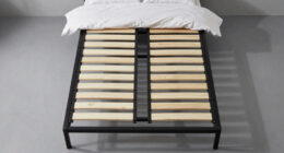 11 Best Adjustable Bed Base King in 2026