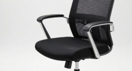 11 Best Office Chairs for Lower Back Pain in 2026