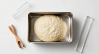 11 Best Proofer Box for Bread Dough in 2026