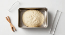 11 Best Proofer Box for Bread Dough in 2026