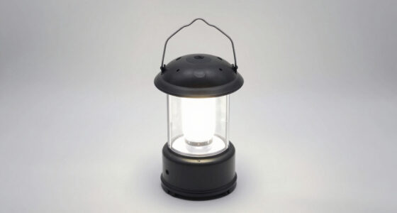 13 Best Best Rechargeable Emergency Lantern in 2026