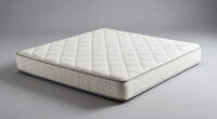 13 Best Hybrid Mattress for Back Pain in 2026