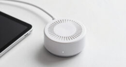 4 Best Smart Flood Sensors in 2026