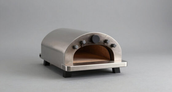 6 Best Outdoor Pizza Ovens in 2026