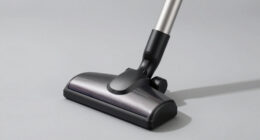 6 Best Wet Dry Shop Vacuum in 2026