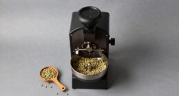 8 Best Coffee Roaster Machine Home in 2026