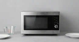 8 Best Microwave Convection Oven Countertop in 2026