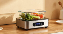 9 Best Best Sous Vide Immersion Circulator in 2026