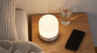 2 Best Home Night Lights In 2026